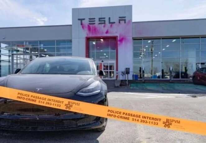 Активісти облили фарбою автосалон Tesla в Канаді