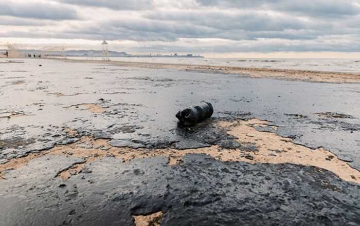 Через аварію танкерів у Чорному морі на узбережжі Одещини з’явилася отруєна риба